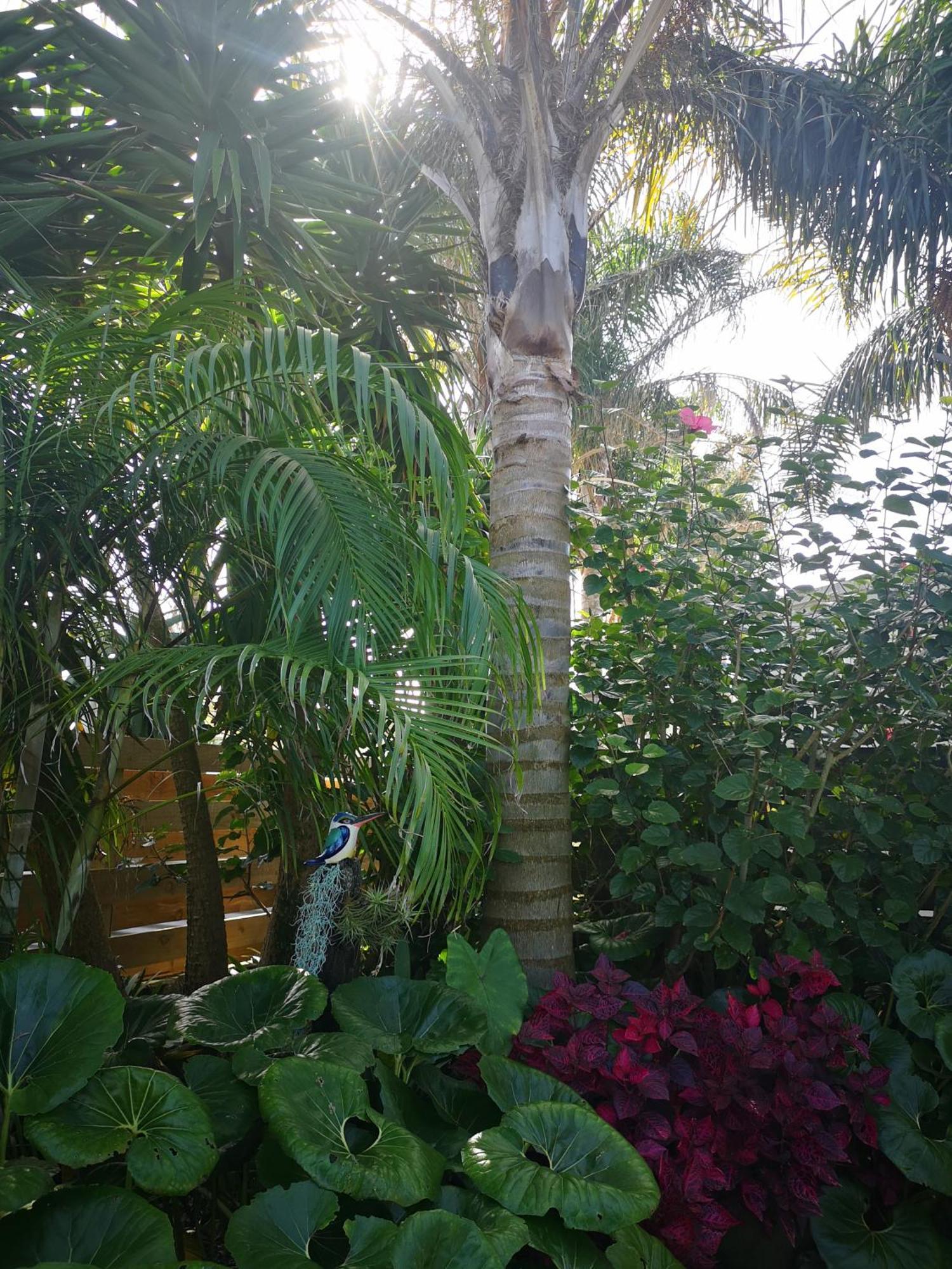 Coast Awhile - Whangamata Holiday Home Extérieur photo